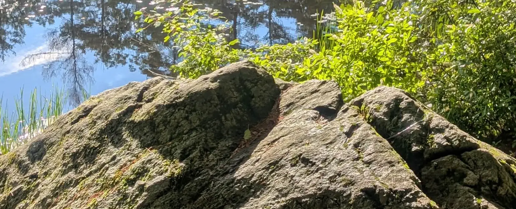 Paris Miami Photography and Videography — sunlit boulder beside a Keene, New Hampshire pond